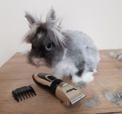 6w1 Maszynka do strzyżenia psów i kotów zwierząt - zestaw golarka