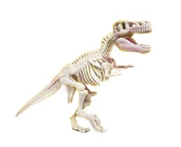 SKAMIENIAŁOŚCI - T-REX - 50858