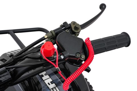 Pojazd Quad Spalinowy WILDPEAK 110cc Czarny