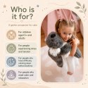 WOOPIE Pluszak Obciążeniowy Koala Antystresowy Sensoryczny Ciężkomiś Przytulanka 65cm 1500g