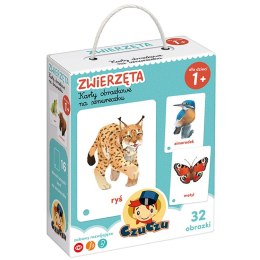 CzuCzu Karty obrazkowe Zwierzęta Polski 32 ilustracje edukacyjne ZA6694