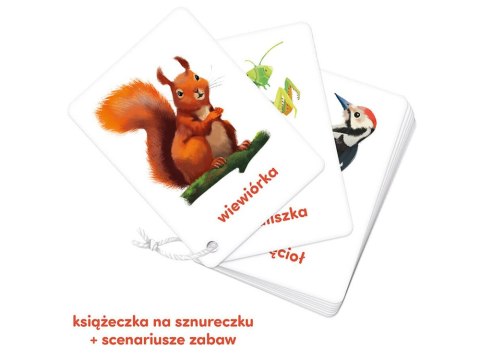 CzuCzu Karty obrazkowe Zwierzęta Polski 32 ilustracje edukacyjne ZA6694