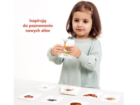 CzuCzu Karty obrazkowe Zwierzęta Polski 32 ilustracje edukacyjne ZA6694