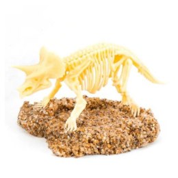 Szkielet dinozaura, foremki, wykopaliska, triceratops, zestaw