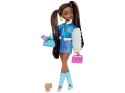 Mattel Lalka Barbie Dream Besties Brooklyn z akcesoriami ZA6700