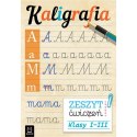Aksjomat Kaligrafia. Zeszyt ćwiczeń nauka pisania ślaczki KS1306
