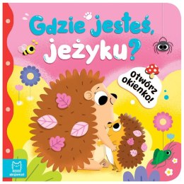 Aksjomat Otwórz okienko! Gdzie jesteś, jeżyku? KS1117