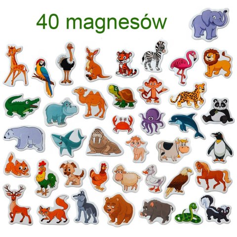 Zestaw Magnesów Zwierzęta 40 sztuk MV 6032-41 Zestaw Magnesów Zwierzęta 40 sztuk MV 6032-41