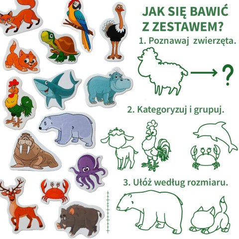 Zestaw Magnesów Zwierzęta 40 sztuk MV 6032-41 Zestaw Magnesów Zwierzęta 40 sztuk MV 6032-41
