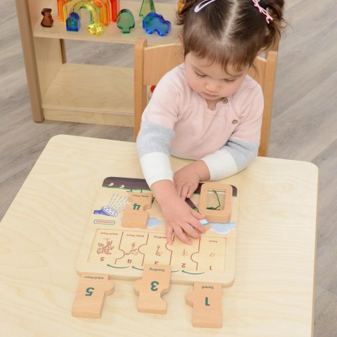 MASTERKIDZ Drewniana Tablica Cykl Życia Fasoli