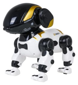 Robot Piesek BUNNY R/C Biały