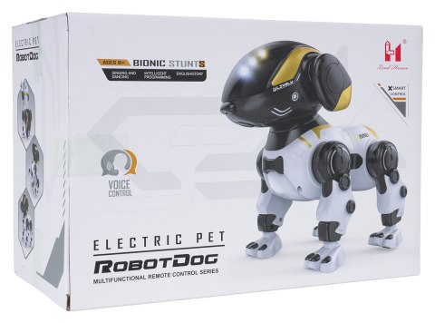 Robot Piesek BUNNY R/C Biały