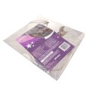 Szkielet nietoperza- dekoracja 30cm Glimz