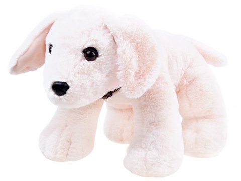 Piesek pluszowy szczeniak przytulanka 45cm ZA3032 Piesek pluszowy szczeniak przytulanka 45cm ZA3032