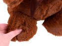 Pluszowy brązowy Miś niedźwiadek Przytulak ZA3429