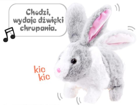 Interaktywny zwierzaczek chrupaczek Królik ZA2685