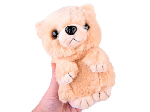 Interaktywny Miś mówi papla powtarza ZA3553 MIŚ