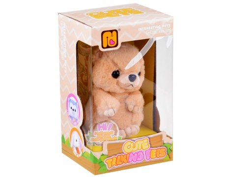 Interaktywny Miś mówi papla powtarza ZA3553 MIŚ