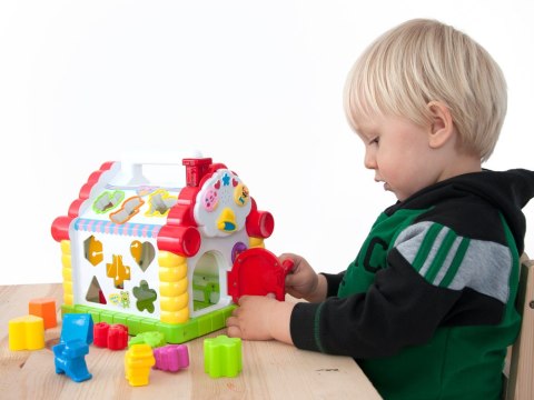 Edukacyjny INTERAKTYWNY MULTIDOMEK dźwięk ZA0024