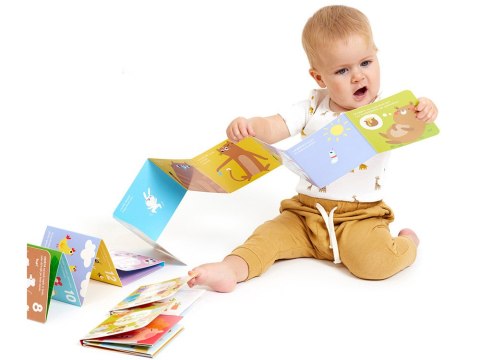 CzuCzu Biblioteczka Odkrywcy 4 książeczki ZA4161 CzuCzu Biblioteczka Odkrywcy 4 książeczki ZA4161