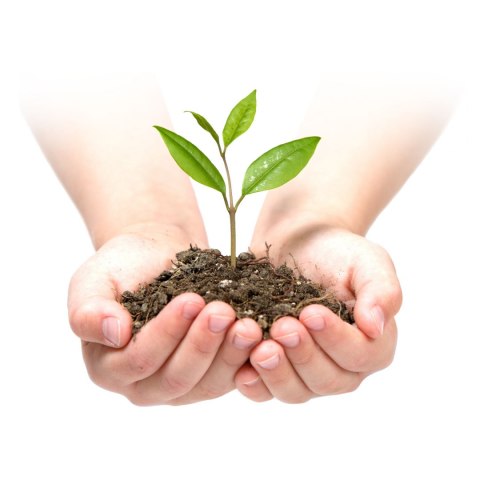 Agrowłóknina ogrodowa 1,6 m x 50 m + 100 szpilek Plonos