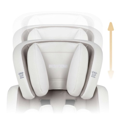 Fotelik samochodowy 9 - 36 kg Massi Ricokids beżowy