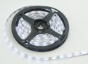 Taśma LED SMD 3528 5m wodoodporna zimny biały