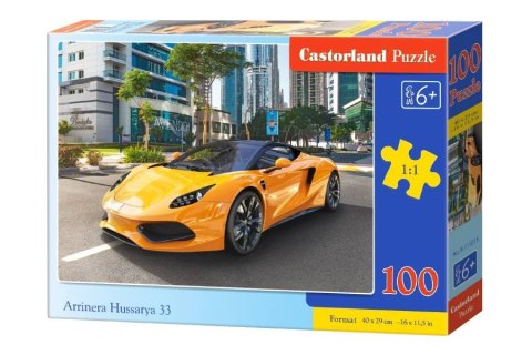 Puzzle 100 el. Arrinera Hussarya