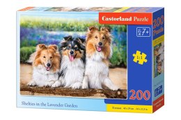 Puzzle 200 el. Shelties in the Lavender Garden