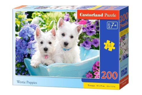 Puzzle 200el. Westie Puppies