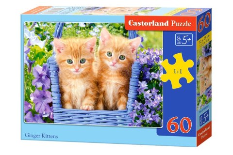 Puzzle 60 el. Ginger Kittens