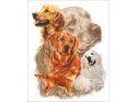 Haft Diamentowy, Obraz, Mozaika Diamentowa Diamond Painting, PIES - GOLDEN RETRIEVER 30x40cm