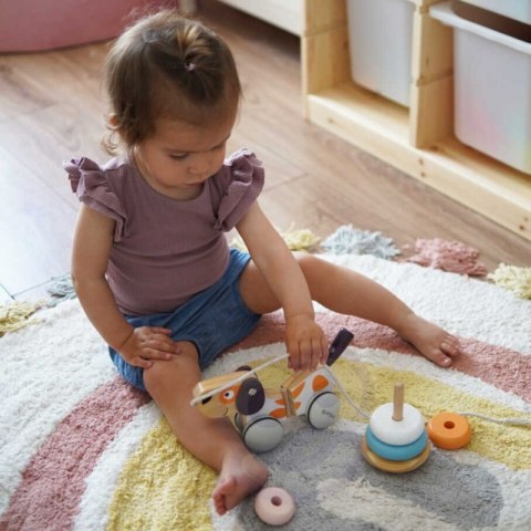 Viga PolarB Drewniany Piesek do Ciągnięcia