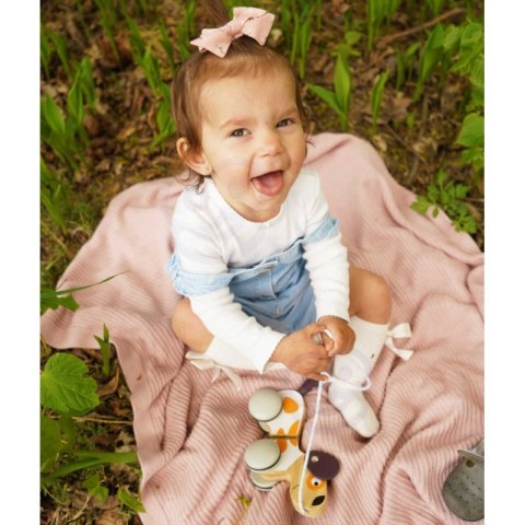 Viga PolarB Drewniany Piesek do Ciągnięcia