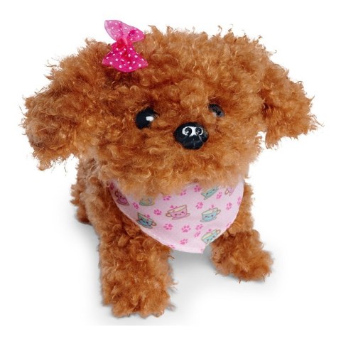 SIMBA Chi Chi Love Piesek Pudelek Szczeniak 16cm SIMBA Chi Chi Love Piesek Pudelek Szczeniak 16cm