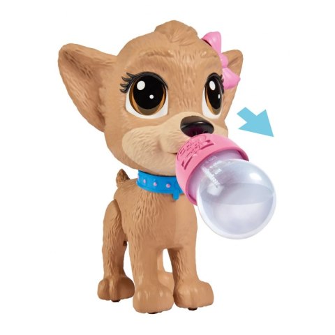 SIMBA Chi Chi Love Pii Pii Puppy Robi Siusiu SIMBA Chi Chi Love Pii Pii Puppy Robi Siusiu