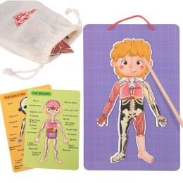 Tooky Toy Drewniane Puzzle Montessori Magnetyczne Nauka Anatomia Człowieka 78el.