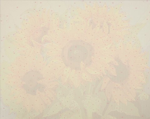 Obraz malowanie po numerach 40x50cm słoneczniki