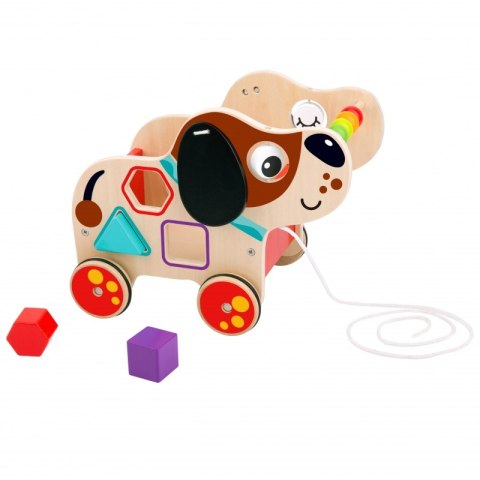 TOOKY TOY Duży Drewniany Sorter Pies Do Ciągnięcia 2w1 Koła Zębate