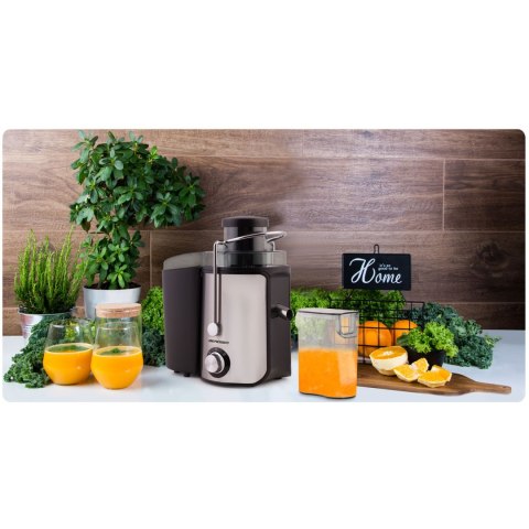 Sokowirówka 600W BD-750 Berdsen czarna