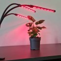 Lampa 20 LED 3szt. do wzrostu roślin Gardlov 19242