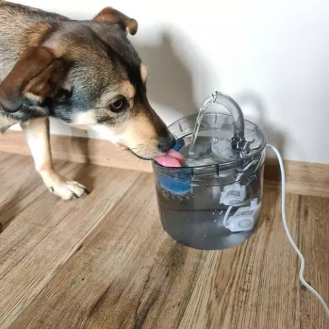 Fontanna- poidełko dla psa/ kota 2000ml 20700