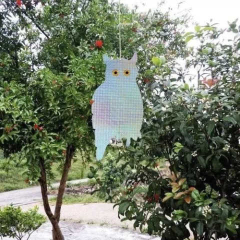 Odstraszacz ptaków- sowa Repest 21027