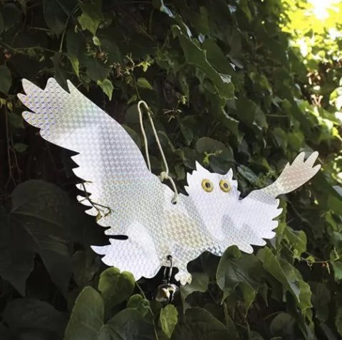 Odstraszacz ptaków- sowa Repest 21028
