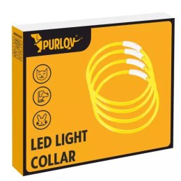 Obroża świecąca LED- regulowana Purlov 21631