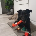 Prezent świąteczny dla psa- zabawki Purlov 22637