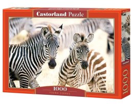Puzzle 1000 elementów C-105021 Young Zebras zebry