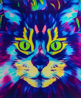  obraz malowanie po numerach 50 kot kotek+rama
