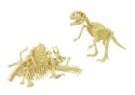 Zestaw archeologiczny złożenie szkieletu dinozaura