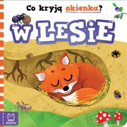 Książeczka książka dla dzieci dla dzieci - co kryją okienka? w lesie